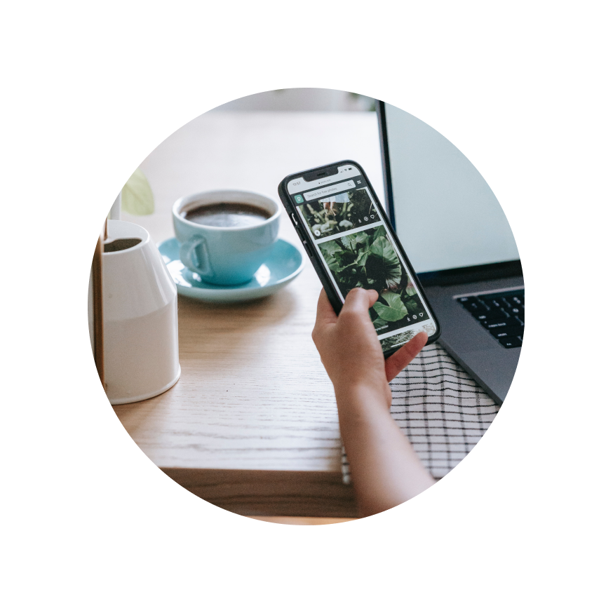 The image displays a person's hand holding a smartphone with a social media app open, featuring images of plants. Behind the phone, there is a blurred background with a cup of coffee on a saucer, a closed ceramic pitcher, and a laptop on a wooden desk. The scene is encircled by concentric black and white rings, giving the appearance of a radiating signal or focus point on the smartphone.